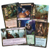The Lord of the Rings: The Card Game - Angmar Awakened Hero Expansion (Spanish)
