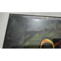 Roll Player: Fiends & Familiars (Spanish - slightly damage box)